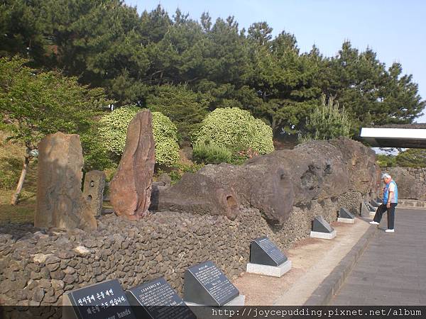 CIMG3786.JPG CIMG3786.JPG