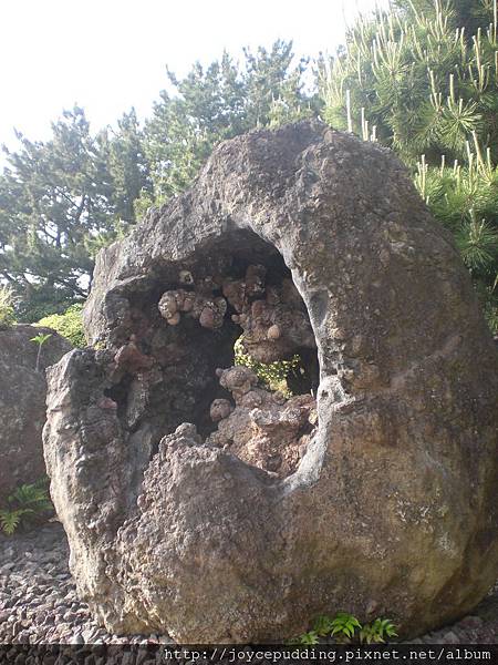 CIMG3782.JPG CIMG3782.JPG