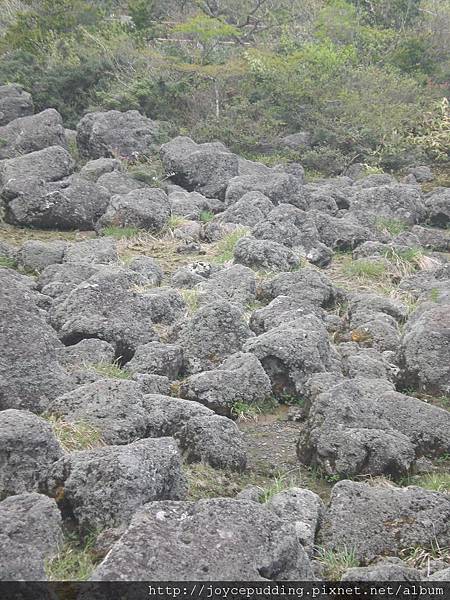 CIMG3766.JPG CIMG3766.JPG