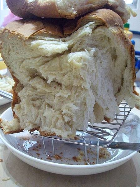 DSCF6931.JPG DSCF6931.JPG