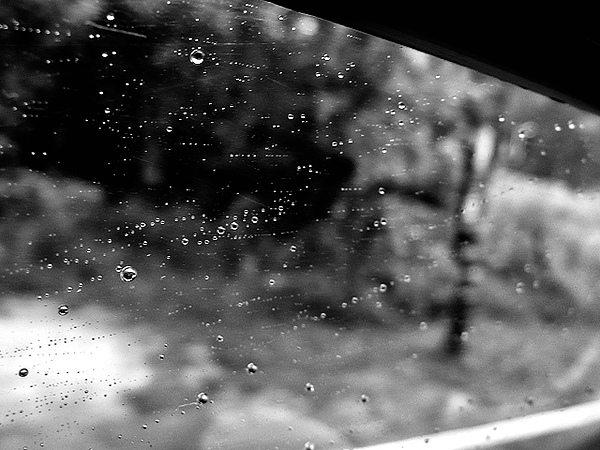 P1010572.jpg P1010572.jpg