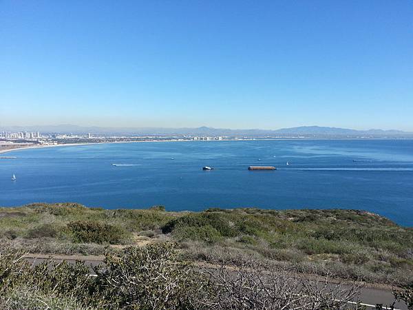 Picture cell 155 Picture cell 155