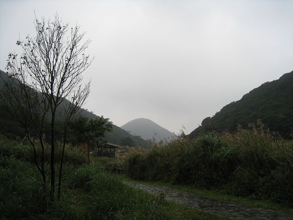 IMG_2373(001).jpg IMG_2373(001).jpg