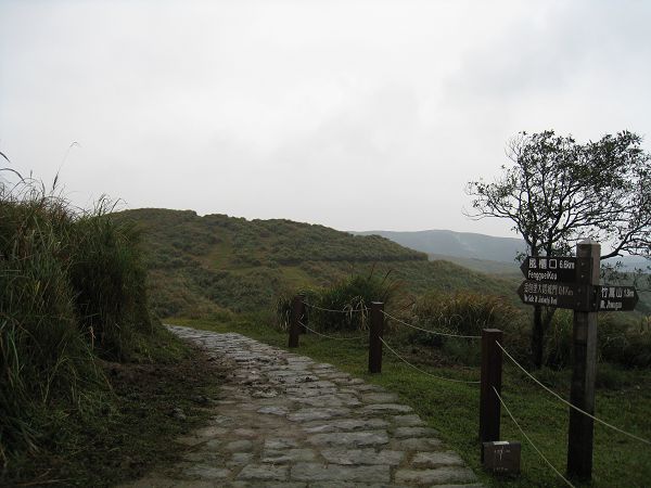 IMG_2378(001).jpg IMG_2378(001).jpg