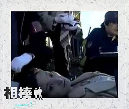 死者森.jpg 死者森.jpg