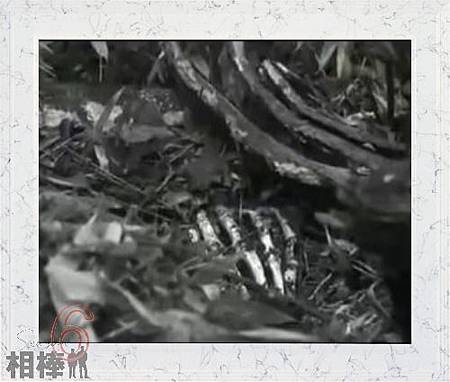 死者梅野.jpg 死者梅野.jpg