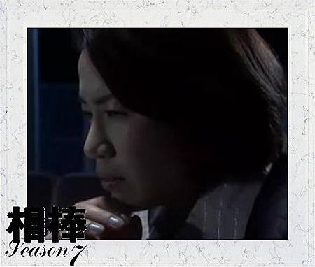 荊城紫雨 荊城紫雨