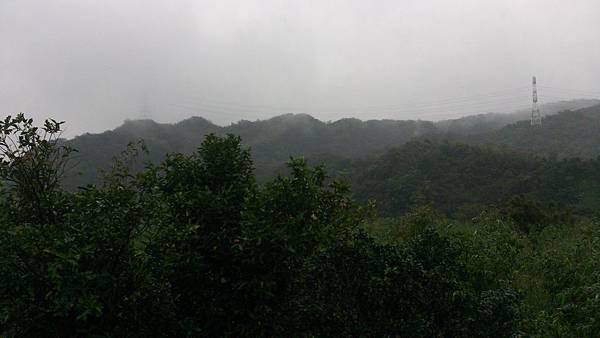 包山包海 包山包海