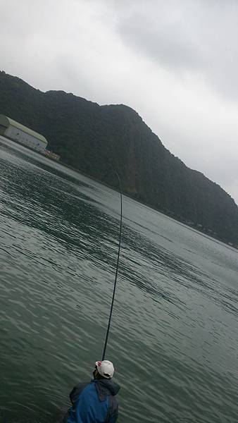包山包海 包山包海