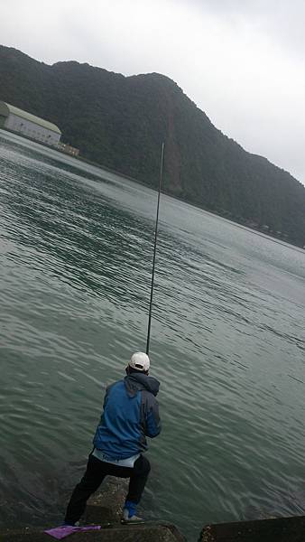 包山包海 包山包海