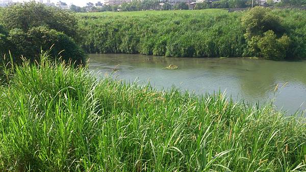 福壽雙至 福壽雙至