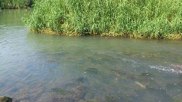 福壽雙至 福壽雙至