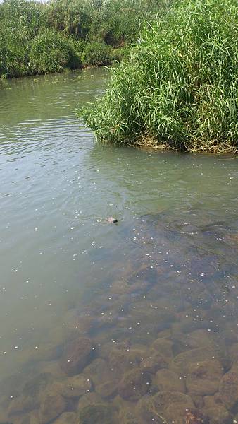 福壽雙至 福壽雙至