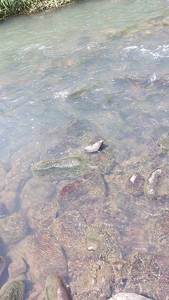 福壽雙至 福壽雙至