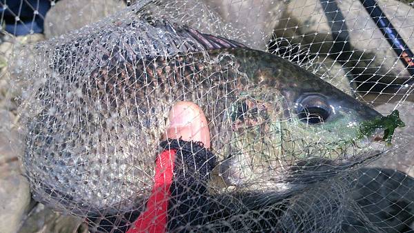 福壽雙至 福壽雙至