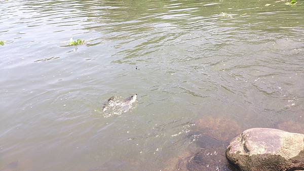 福壽雙至 福壽雙至