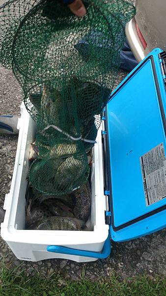 福壽雙至 福壽雙至