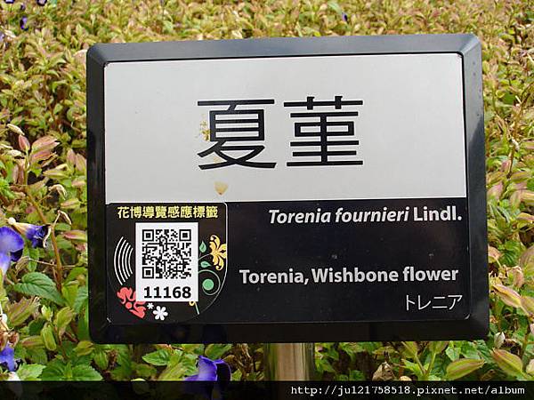 台北花博開幕前全記錄(2) 台北花博開幕前全記錄(2)