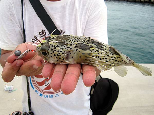 IMG_3430 IMG_3430