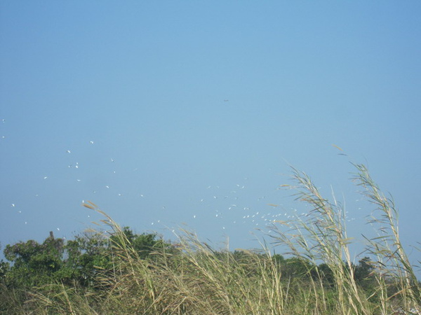 IMG_1567_調整大小.JPG IMG_1567_調整大小.JPG