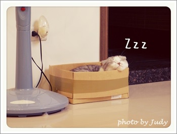 2013-10-21-21-27-17_deco