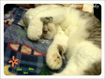 2013-12-01-23-56-10_deco