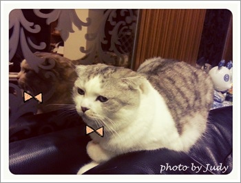 2013-12-16-19-58-49_deco