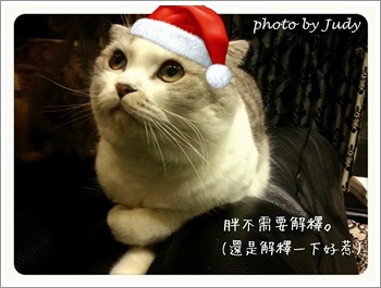 2013-12-19-13-06-31_deco