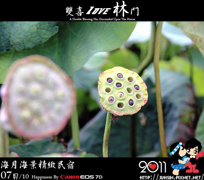 海月海景精緻民宿