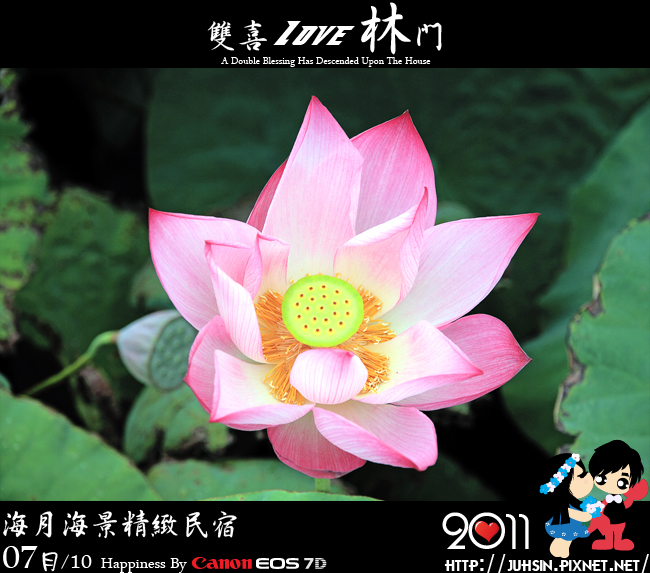 海月海景精緻民宿