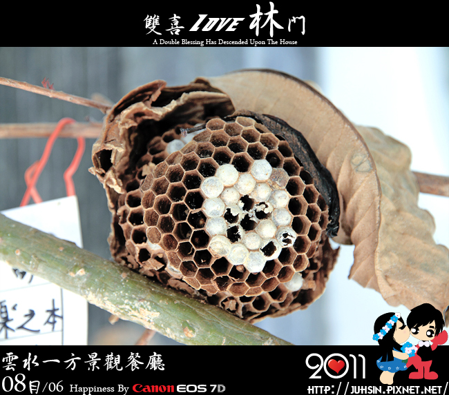 雲水一方景觀餐廳