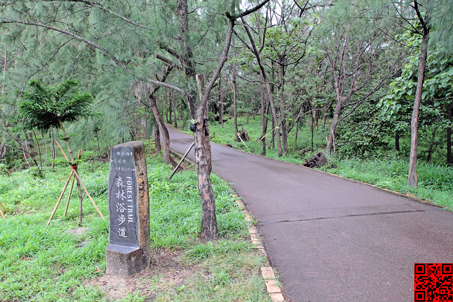 台東森林公園