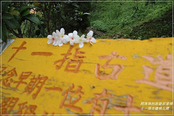 十一指古道20.JPG 十一指古道20.JPG