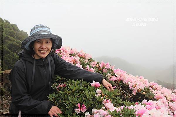 合歡東峰4.JPG 合歡東峰4.JPG