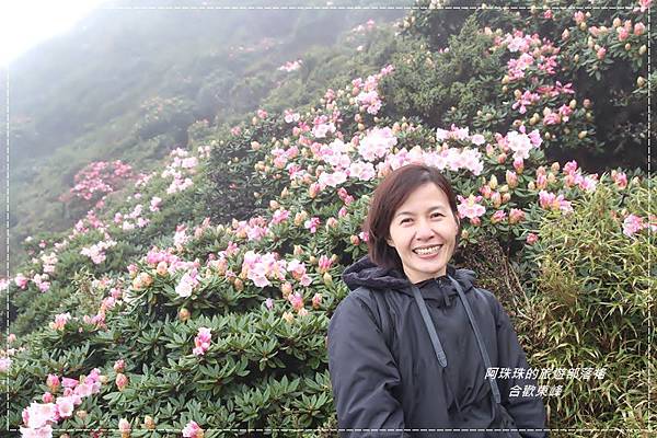 合歡東峰10.JPG 合歡東峰10.JPG