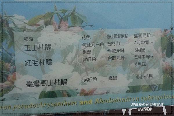 合歡東峰27.JPG 合歡東峰27.JPG