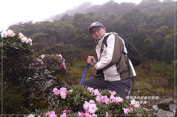 合歡東峰30.JPG 合歡東峰30.JPG
