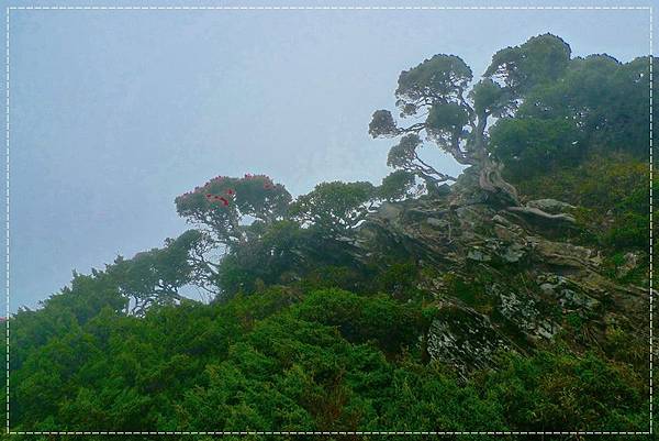 合歡東峰34.JPG 合歡東峰34.JPG