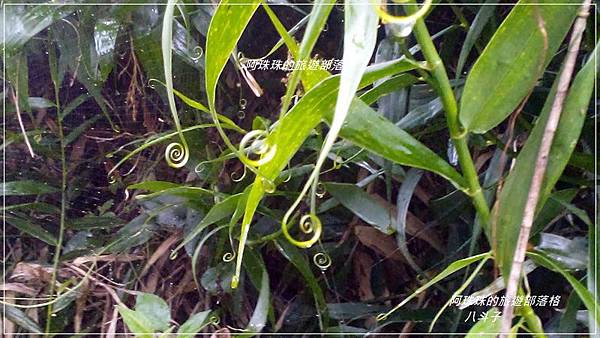 八斗子1.jpg 八斗子1.jpg