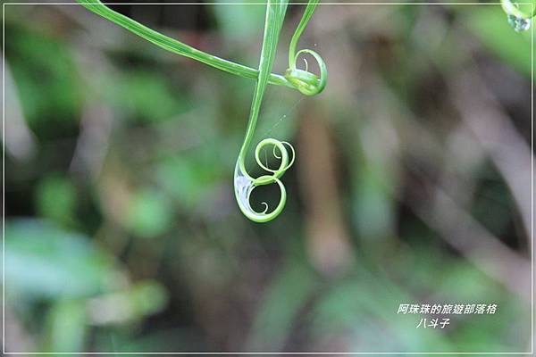 八斗子17.JPG 八斗子17.JPG