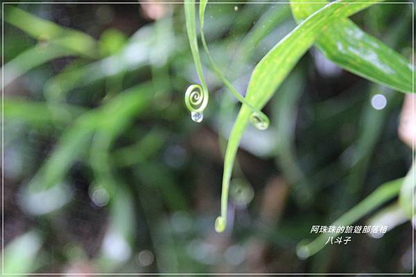 八斗子19.JPG 八斗子19.JPG