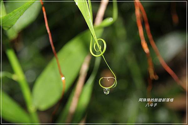 八斗子21.JPG 八斗子21.JPG