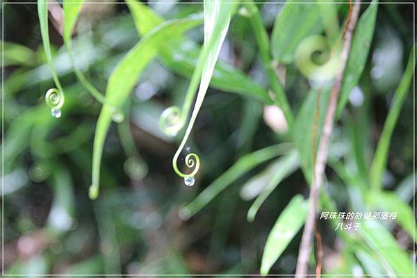 八斗子20.JPG 八斗子20.JPG