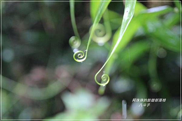 八斗子23.JPG 八斗子23.JPG