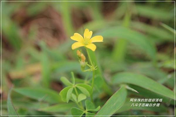 八斗子48.JPG 八斗子48.JPG