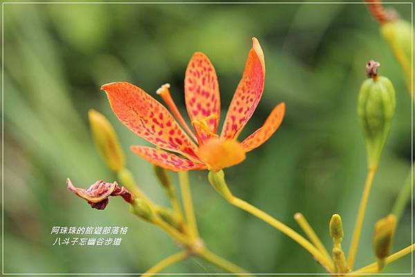 八斗子55.JPG 八斗子55.JPG