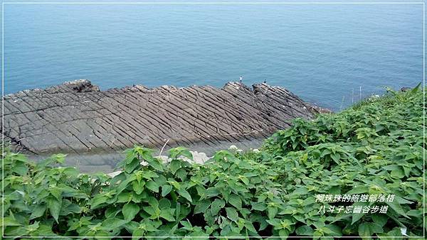 八斗子74.jpg 八斗子74.jpg