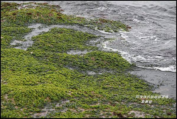 象鼻岩2.JPG 象鼻岩2.JPG