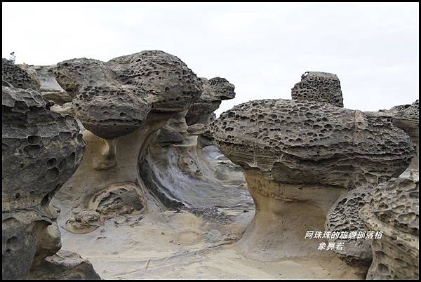 象鼻岩11.JPG 象鼻岩11.JPG