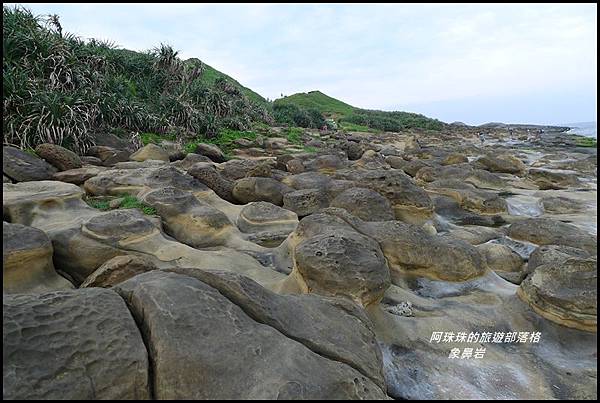 象鼻岩20.JPG 象鼻岩20.JPG